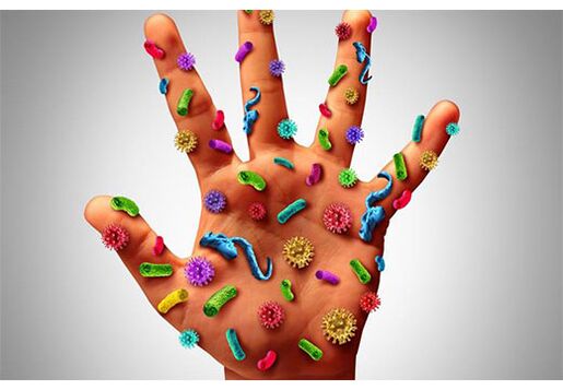 Human papilloma virus foci are found on the hands